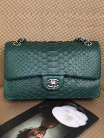 CC original python leather flap bag A01112 green