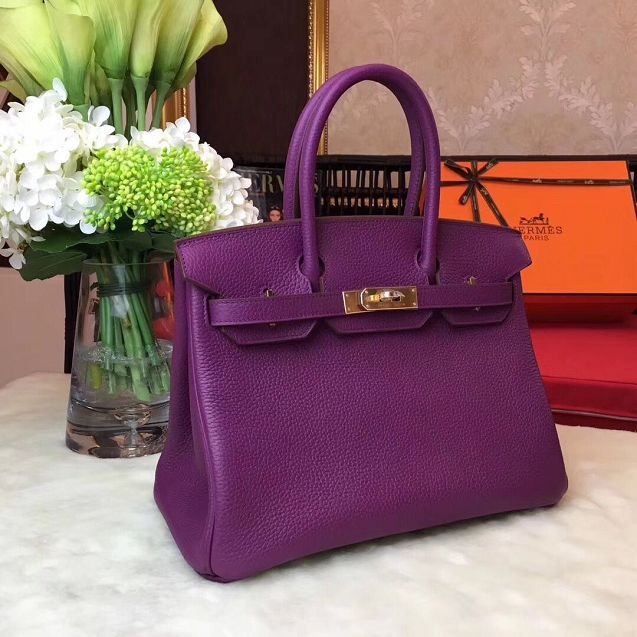 Hermes original togo leather birkin 35 bag H35-1 anemone