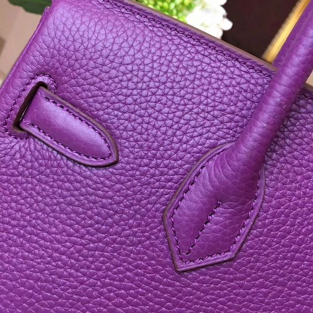 Hermes original togo leather birkin 35 bag H35-1 anemone