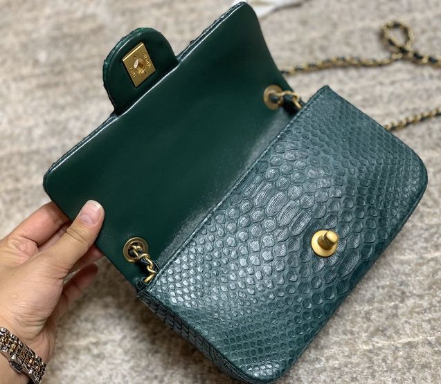 CC original python leather flap bag AS1787 green