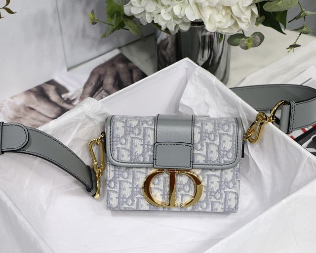 Dior original canvas mini 30 montaigne bag M9204 gray