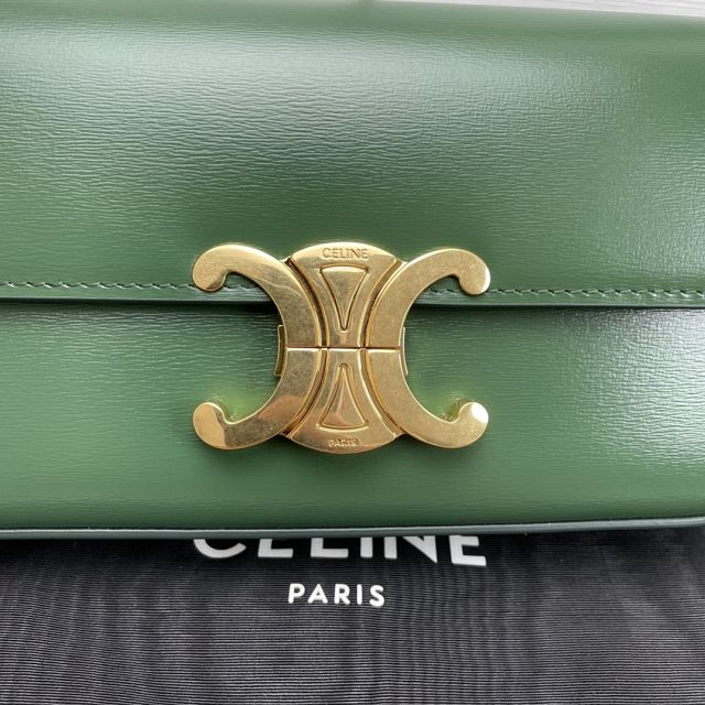 Celine original calfskin triomphe shoulder bag 194143 green