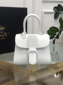 Delvaux original box calfskin brillant mini bag AA0406 white