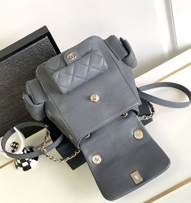 CC original grained calfskin backpack AS4398 grey