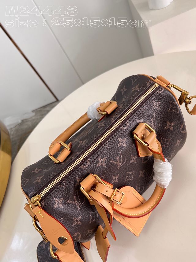 Louis vuitton original soft calfskin speedy P9 25 M24443 brown