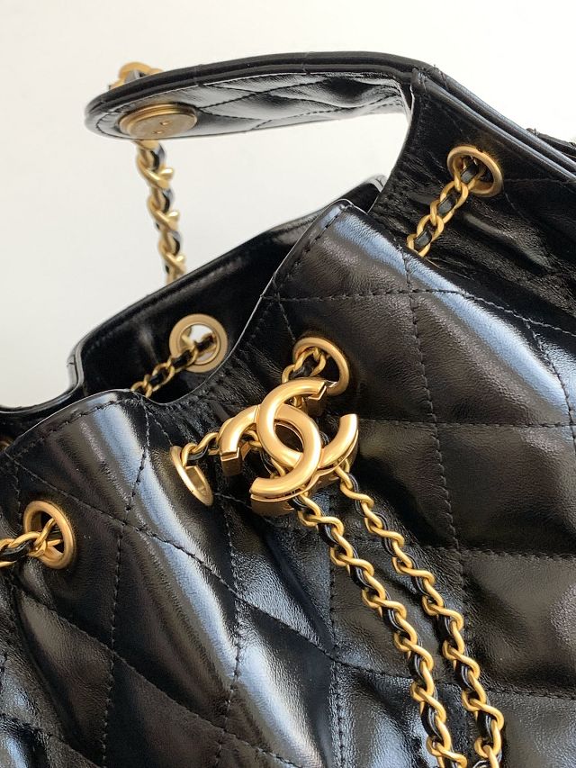 CC original calfskin small hobo bag AS5293 black
