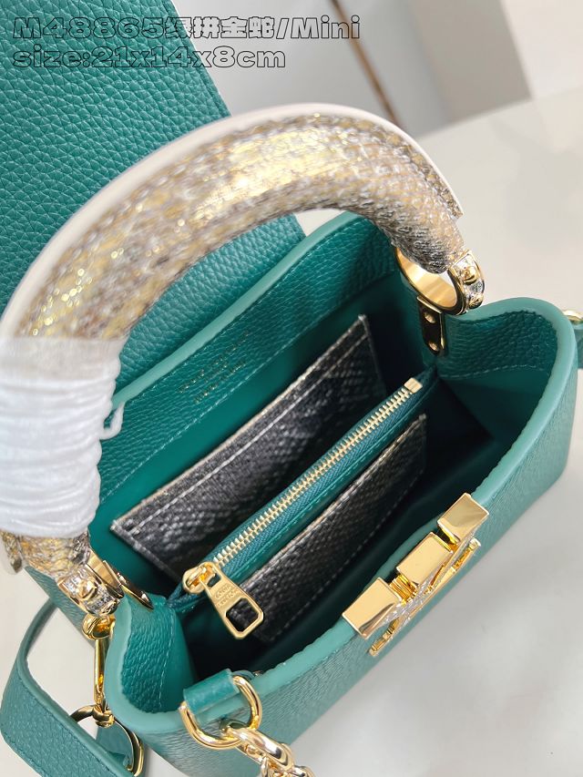 Louis vuitton original calfskin capucines mini handbag N85517 green